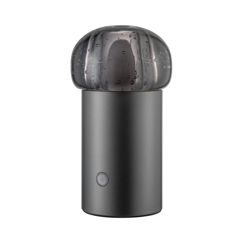 Blomus - Iris LED Akkuleuchte | gun metal